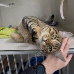 aae0d338f99b7aa62646f1e7ad9beff3