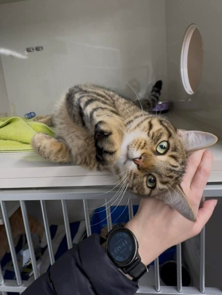 aae0d338f99b7aa62646f1e7ad9beff3