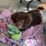 3d2ec6a157a038b87da9374dfdf2ac52