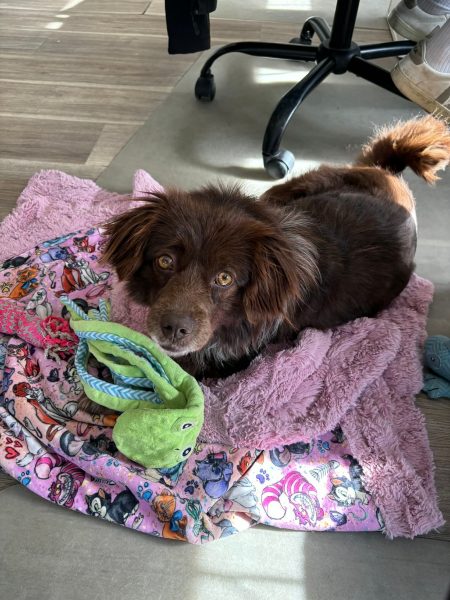 3d2ec6a157a038b87da9374dfdf2ac52