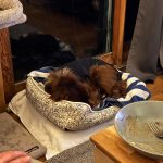 3eac779ca5bbe6d0361c253fd16d7726