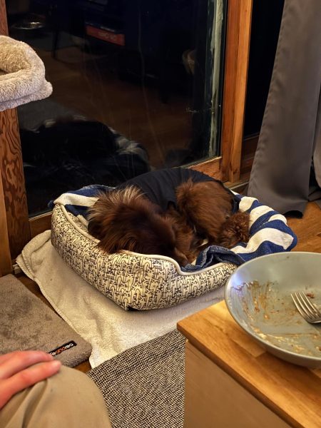 3eac779ca5bbe6d0361c253fd16d7726