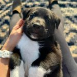 4309dced3656b02b0cf27f12223f92a3