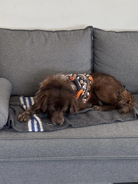 6290221527ee5f5c6acf8f28c35036b8