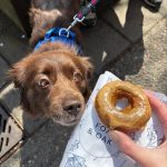 a2a6a20fa4340705d2c00ed5b8242bf3