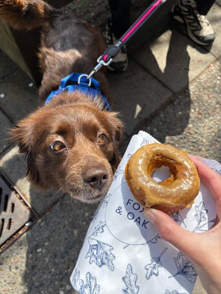 a2a6a20fa4340705d2c00ed5b8242bf3