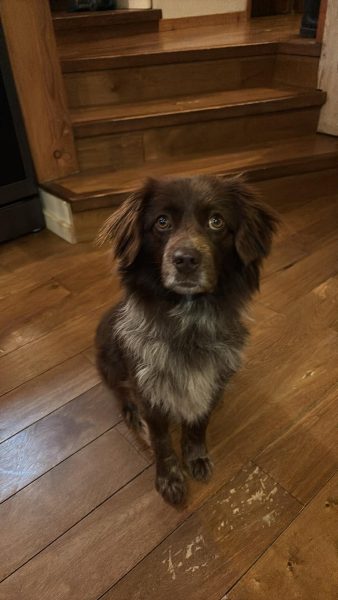 att.6v9LpxKxCAewCUSwjCk2bt5YFBCbEm4arFxFC6R67L8