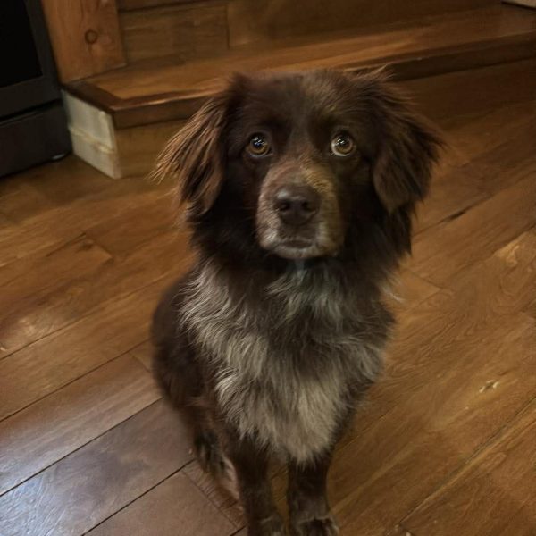 att.6v9LpxKxCAewCUSwjCk2bt5YFBCbEm4arFxFC6R67L8