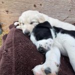 bbff6c647c32177c4b875f84cba0c824