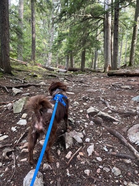 c1006be52582271c6da450854a36ef02