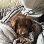 e307fabd9841a29c127fc3570fcc8f7b