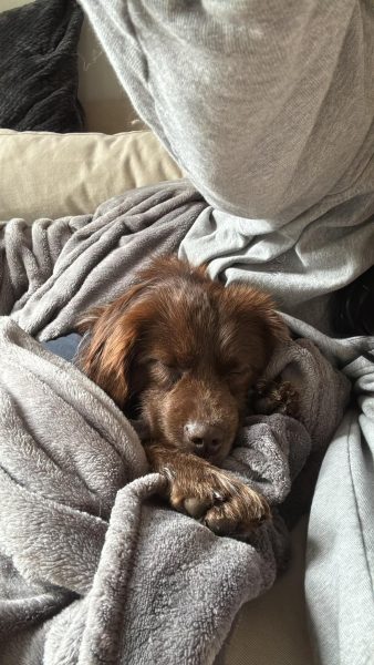 e307fabd9841a29c127fc3570fcc8f7b