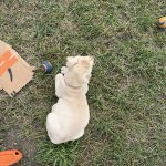 IMG_4128