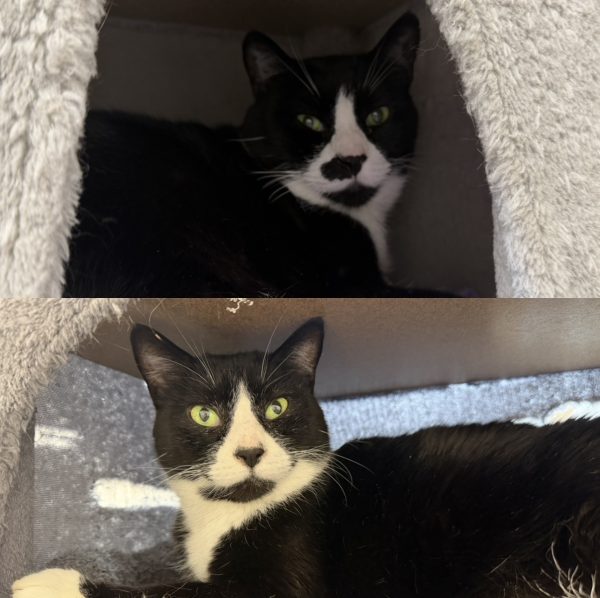 Walter and Winston